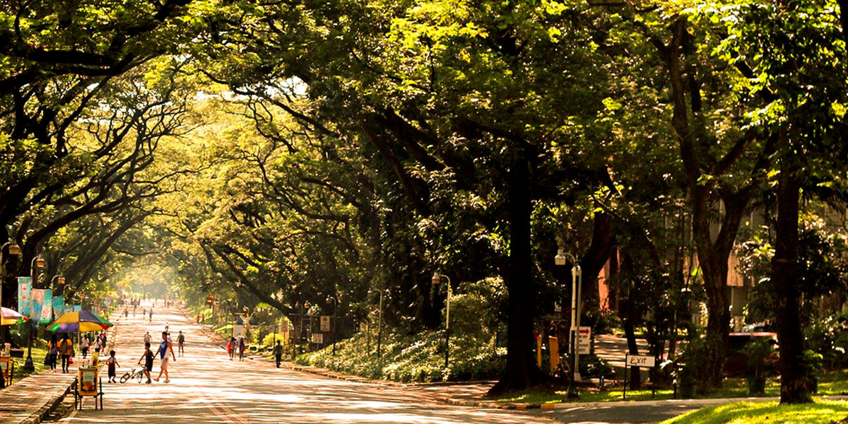 Community Building. Primeiro Partners.